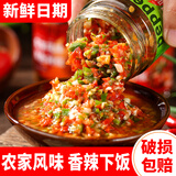老村长 蒜蓉剁椒贵州特产小米辣蒜蓉双色辣椒酱自制农家特辣下饭菜瓶装 【微辣】姜蒜剁辣椒240g/1瓶