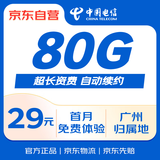 中国电信流量卡29元广东广州电信纯上网星卡上网卡5g手机卡电话卡全国通用大王卡GZ