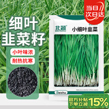 北蔬 韭菜种子苗小叶一年四季南北方家庭阳台菜籽 小细叶韭菜种子10g