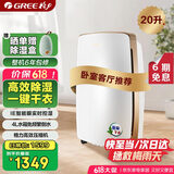 格力（GREE）除湿机/抽湿机家用20升/天卧室客厅除潮除霉除湿器干燥器可干衣智能控湿可定时DH20EH