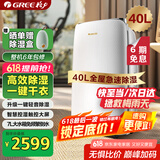 格力（GREE）除湿机家用抽湿机除湿量40升/天低噪除潮防霉除湿器智能控湿一键干衣单间参考面积80平DH40EF