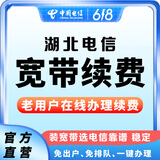 中国电信（CHINA TELECOM） 【宽带续费】湖北电信宽带20M50M100M武汉宽带续费 360元续费（请留言宽带账号和联系电话）