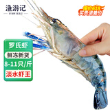 渔游记罗氏虾沼虾3斤鲜活冷冻新鲜大头虾超大虾巨型淡水河虾水产虾类 罗氏虾8-11/斤 1500克(净重)