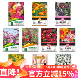 花沃里10款花种子套餐 花卉种子组合太阳花凤仙花向日葵四季种野花