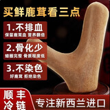 巧天然新西兰进口鹿茸整支整根300克新鲜头茬泡酒煲汤药材【源头直发】