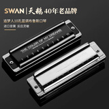 天鹅（SWAN）追梦人10孔布鲁斯口琴paddy音高级专业成人演奏乐器C调开学季礼物 黑色 Paddy C调【树脂琴格】