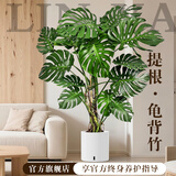 临雅特级龟背竹客厅大盆栽老桩大叶室内大型落地绿植物高级感盆景好养 【旗舰款】提根龟背竹1.5-1.7m+智能吸水盆