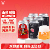 斑马精酿山楂树莓风味精酿啤酒微醺组合装果啤330ml*6罐女士微醺高颜值