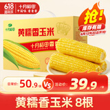 十月稻田 黄糯香玉米 3.52斤(220g*8根) 东北黏甜玉米棒 早餐 杂粮礼盒