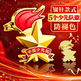 金值别针款5个装少先队队徽 小学生标准型专用安全别针磁铁胸章 强力磁扣别针铁徽 少先队员徽章校徽