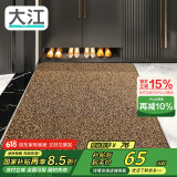 大江入户门地垫入户脚垫进户门门口地垫门外蹭土门垫77x120cm
