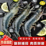 新食道青虾仁 新疆国产养殖大虾 远离海域 活冻白对虾 送礼佳品 新疆大虾4斤装 0斤(净重)  20/30