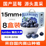 蒲恋国产蓝莓【多地次日达】现摘高山花香蓝莓新鲜水果当季宝宝辅食 优质【单果15mm+ 】推荐~ 【110g-125g】*6盒【品质装】
