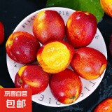【现货】黄心油桃新鲜水果产地直发放软更好吃 油桃净重5斤中大果（单果65g+）
