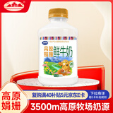 青海湖高原娟姗鲜牛奶500ml 高端奶牛 鲜奶 低温奶 巴氏杀菌 