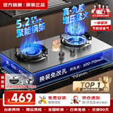 樱花雪燃气灶天然气灶液化气煤气灶双灶台式嵌入式燃气灶家用灶具5.2KW大火力鸳鸯免扩孔一级能效包安装 【经典版】聚能省气+纯铜火盖+鸳鸯九腔 不锈钢 液化气【全国联保】