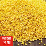 大黄米 粘米 新米黍米 黍子五谷新鲜黄米糕黄米窝头五谷杂粮东北 大黄米粘米2500克
