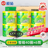 榄菊蚊香40圈*6筒（整箱销售） 艾草香型基孔肯雅热驱蚊盘香黑蚊香