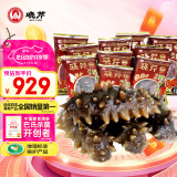 晓芹 大连即食海参 3斤 35-50只 固形物75%  辽刺参 海鲜水产  非礼盒