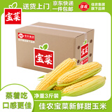 佳农宝菜山东新鲜水果甜玉米约3-4根装净重3斤当季现摘源头直发