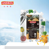 ANDROS 安德鲁  菠萝颗粒果酱1kg 果茶面包酱酸奶 奶茶冲饮烘焙