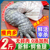 柒岛鳄鱼肉鳄鱼尾鳄鱼腿肉鳄鱼腩肉鳄掌肉带皮鳄鱼生鲜肉食材净重 2-2.1斤鳄鱼腿肉