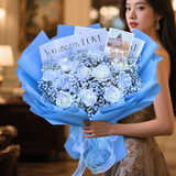 维尔斯元旦礼物鲜花满天星玫瑰碎冰蓝花束生日鲜花小时达全国同城配送 【星辰大海】11枝碎冰蓝玫瑰花 今日达|次日达|其他时间联系客服