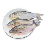 冰鲜三去鲫鱼300g