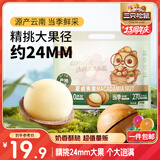 三只松鼠夏威夷果500g/袋 坚果炒货干果约24-26mm大果休闲零食送礼 