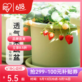 爱丽思（IRIS）Deepot花盆加厚树脂控根圆口绿萝绣球蔷薇月季塑料花盆 5号浅绿色(口径约17cm)无盆托