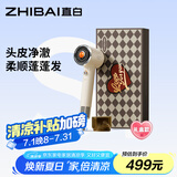 直白【国家补贴】家用电吹风机大风力负离子护发静音速干高速吹风筒生日礼物女生甄选礼盒S1白色高配版