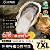 鲜海道【活鲜】鲜海道生蚝  乳山牡蛎 新鲜海蛎子生鲜贝类 超大号7XL号带箱10斤
