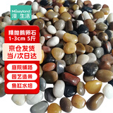 漫生活鹅卵石鱼缸造景石头雨花石庭院装饰园艺石底砂铺路石1-3cm彩色5斤