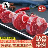 西牛优选羊肉 生鲜新鲜现杀半只羊套餐羊排蝎子烧烤火锅食材年货礼盒 羔羊羊腱子5斤