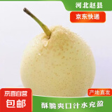 【已售50万斤】河北水晶鸭梨赵州鸭梨产地直发单果180g起 带箱3斤（净重2.5斤）