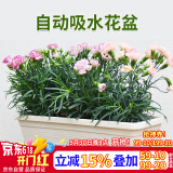 花沃里长方形花盆带托盘2个 阳台种菜盆种菜箱种子育苗盘种植箱米白大号