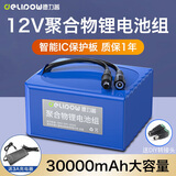 德力普（Delipow）12v锂电池大容量锂离子聚合物锂电池组带显示屏移动电源太阳能灯音响监控设备24V可充电方形电池 12V 30000毫安【送3A充电器】