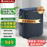 格力（GREE）【轻音小体积 空气净化】除湿机/抽湿机家用卧室客厅除湿器升级负离子净化适用面积24平DH12ENA1A