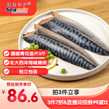 禧美海产 挪威青花鱼片净重3斤 独立包装 去脏日料烤鱼 海鲜