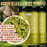 贡苑 肾精草60g共2罐 当季鲜采野生黄金草泡茶泡酒搭化石草猫须草滋补