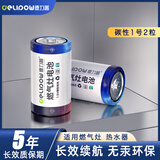 德力普（Delipow）1号碳性电池燃气灶电池D型适用于厨房煤气灶热水器收音机大号干电池 1号碳性【2粒】