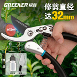 绿林（GREENER）园林剪家用树枝剪修枝剪树枝剪果枝剪花木剪盆栽园艺修枝剪园艺剪