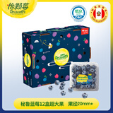 怡颗莓Driscoll's 秘鲁蓝莓Jumbo超大果20mm+12盒原箱 125g/盒 水果礼盒