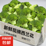 新鲜西兰花花椰菜青花菜西蓝花菜花当季时令新鲜蔬菜 新鲜青花带箱3斤【西兰花】