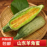 山东潍坊头茬羊角蜜甜瓜 当季新鲜水果现摘整箱 羊角蜜2.5-3斤2-3根