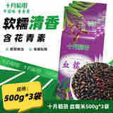 十月稻田 血糯米 500g*3袋 【含花青素】
