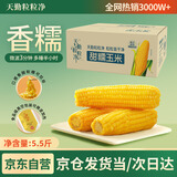 天勤粒粒净有机黄糯玉米（5.5斤）12穗*230g玉米棒低脂玉米真空包装早餐代餐