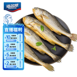海名威 冷冻三去黄花鱼600g 3/4条 宁德大黄鱼 生鲜鱼类 海鲜水产 