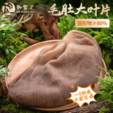 和蓉汇毛肚大叶片净重1斤 固形物≥80% 冷藏火锅食材麻辣烫千层毛肚生鲜