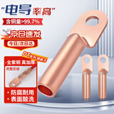 铸固 铜鼻子 线鼻子16平方DT冷压接线端子铜线耳接线电缆接线头 DT-16mm²（10只装）